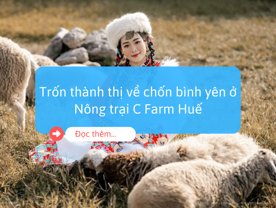 C Farm Huế